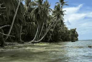 Cahuita National Park: Guided Hike with Snorkel and Lunch