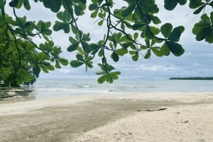 Cahuita National Park: Guided Hike with Snorkel and Lunch