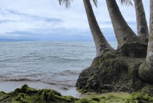 Cahuita National Park: Guided Hike with Snorkel and Lunch