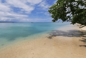 Cahuita National Park: Guided Hike with Snorkel and Lunch