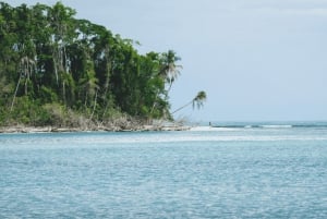 Cahuita National Park: Guided Hike with Snorkel and Lunch