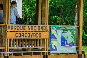 Vandringsturer i Corcovado