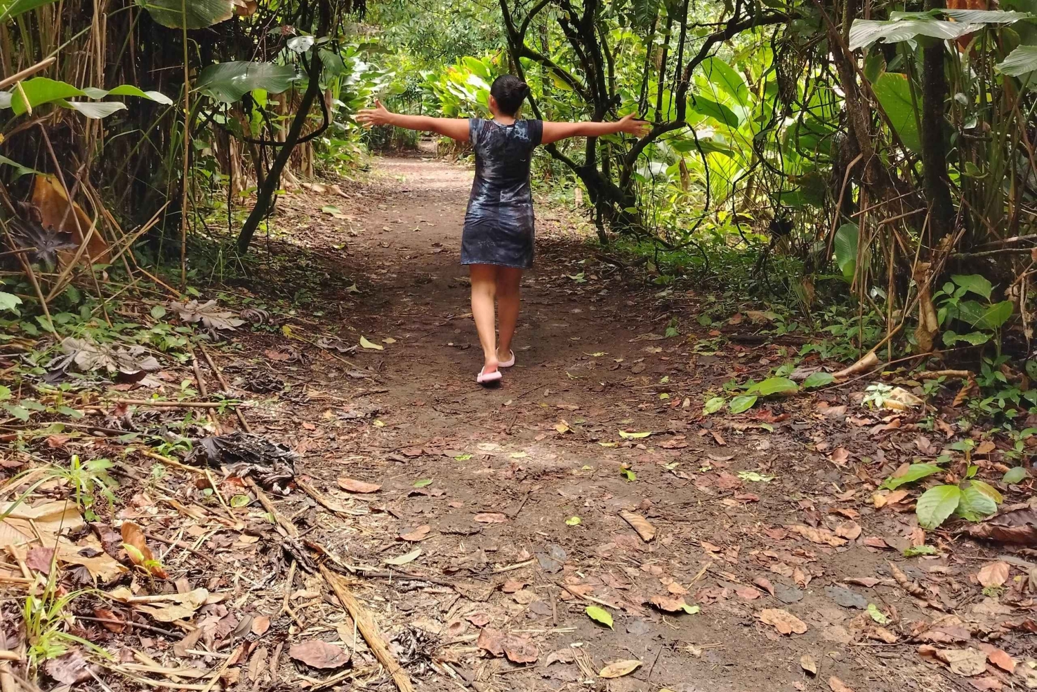 Randonnée au parc national de Tortuguero