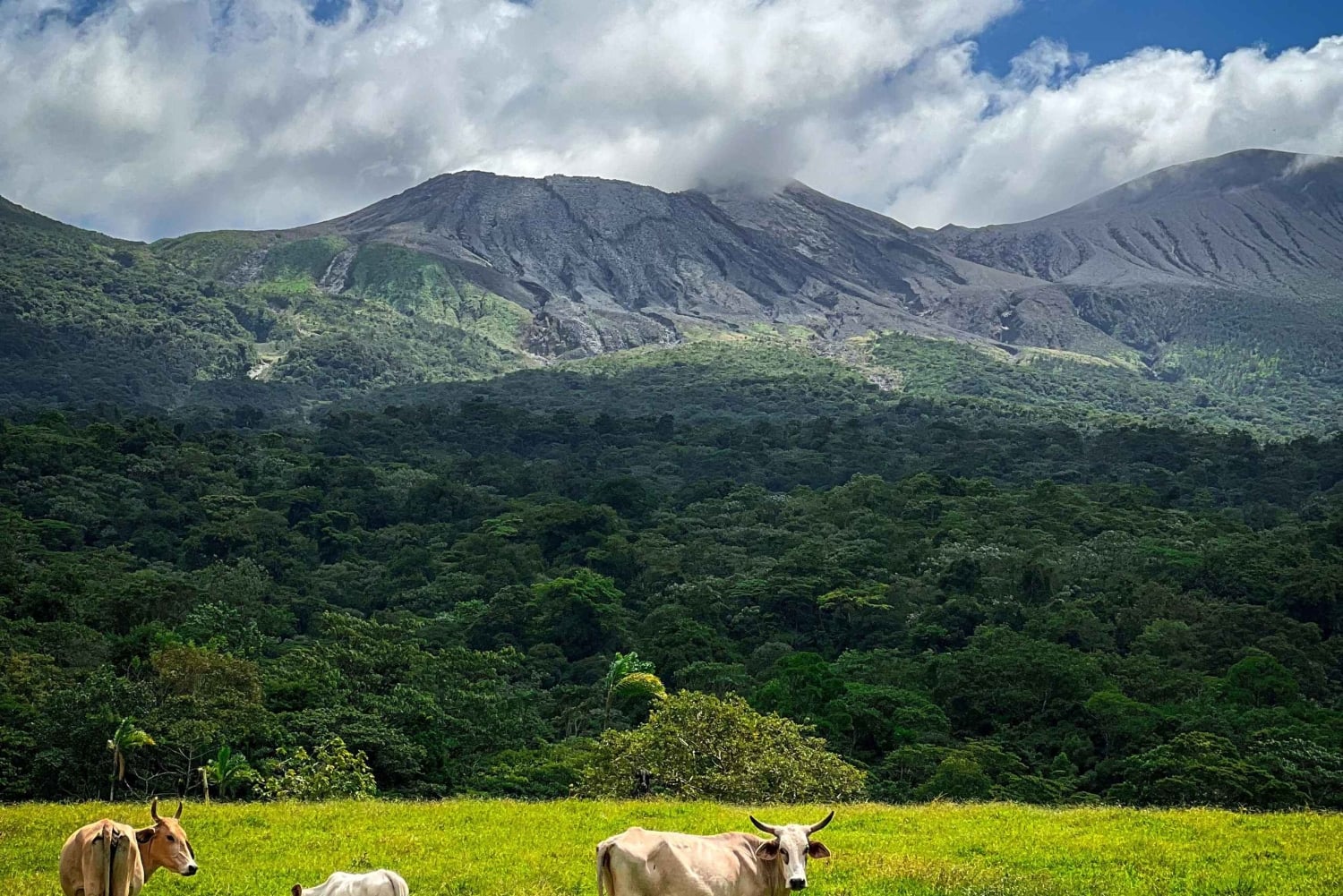 隠れた滝と温泉への乗馬体験をお楽しみください