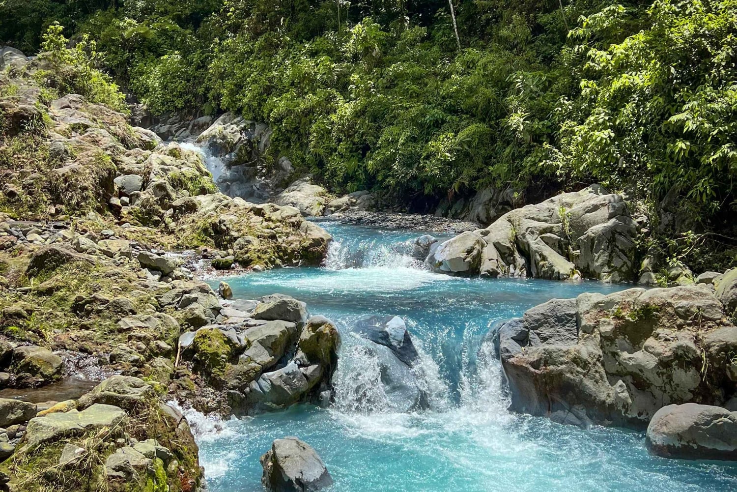 隠れた滝と温泉への乗馬体験をお楽しみください