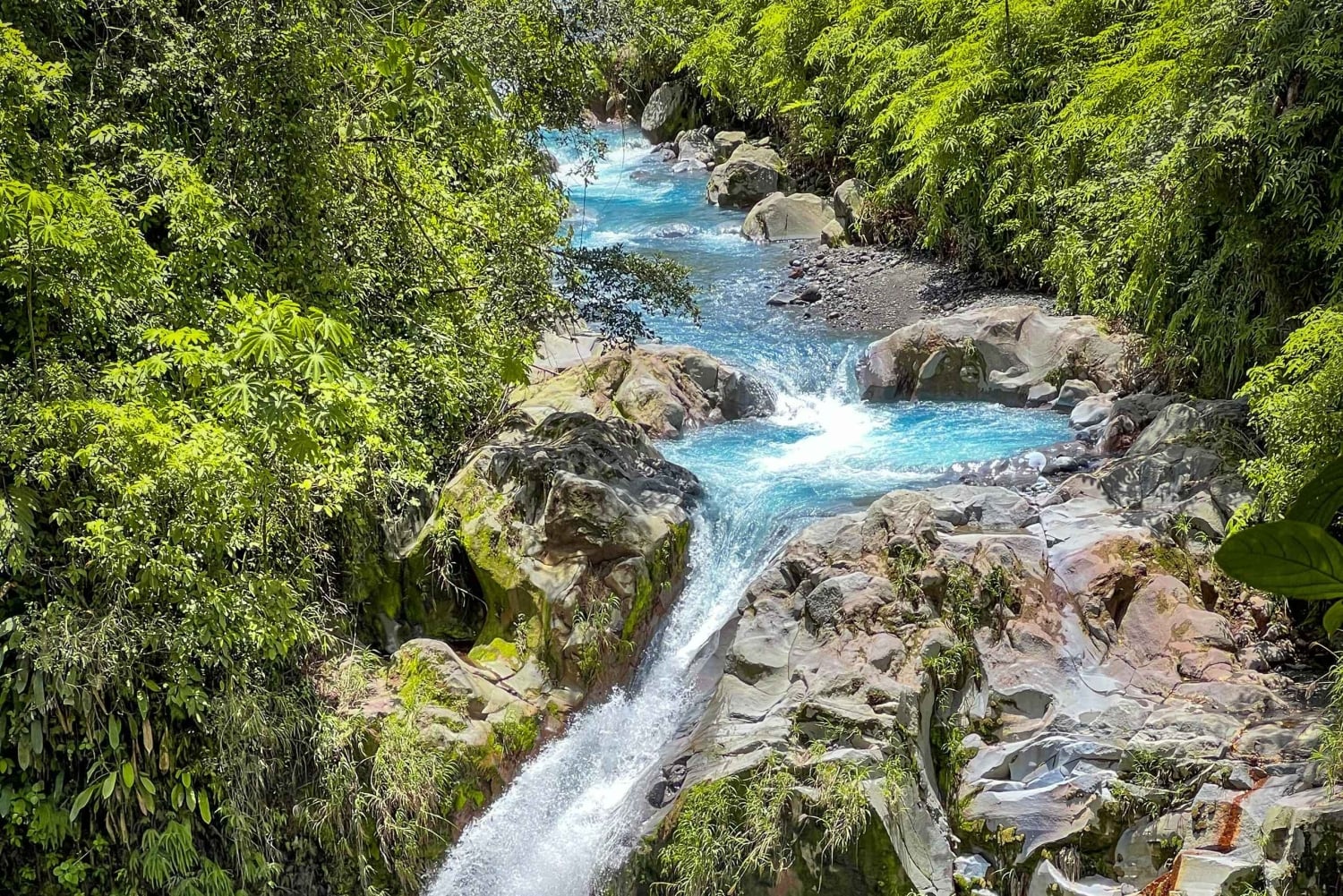 隠れた滝と温泉への乗馬体験をお楽しみください