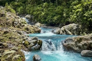 隠れた滝と温泉への乗馬体験をお楽しみください