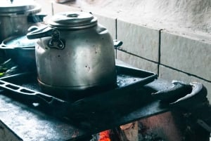 隠れた滝と温泉への乗馬体験をお楽しみください