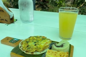 隠れた滝と温泉への乗馬体験をお楽しみください