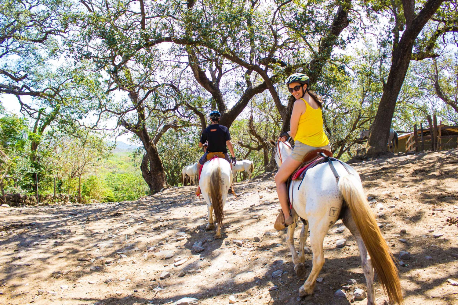 Hesteridning en halv dag: Ridning + lunsj + varm kilde