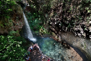 Hesteridning en halv dag: Ridning + lunsj + varm kilde