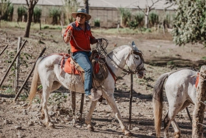 Hesteridning en halv dag: Ridning + lunsj + varm kilde
