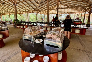 Hesteridning en halv dag: Ridning + lunsj + varm kilde