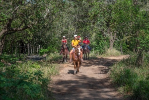 Hesteridning en halv dag: Ridning + lunsj + varm kilde