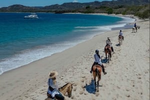 Horseback Riding & Massages Beach Tour
