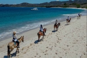 Horseback Riding & Massages Beach Tour
