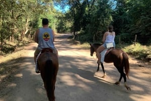 Horseback riding on the beach