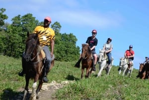 Paardrijden+Regenwoud in Manuel Antonio