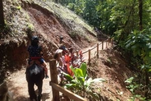 Equitazione+foresta pluviale a Manuel Antonio