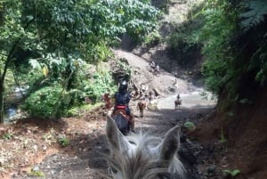Hesteridning + regnskog i Manuel Antonio