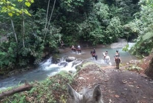 Passeio a cavalo + floresta tropical em Manuel Antonio