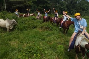 Paardrijden Rio Celeste
