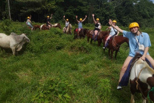乗馬リオセレステ
