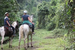 Horseback riding to La Fortuna Waterfall