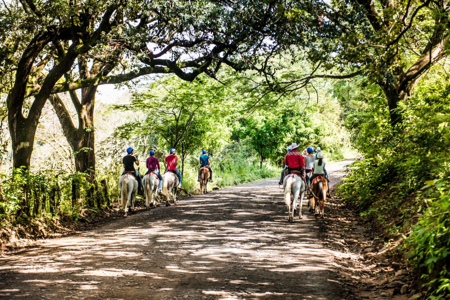 Costa Rica: Chorreras- og Victoria-vandfaldene på hesteryg