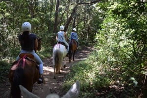 Horseback Riding to the Chorreas and Victoria Waterfalls