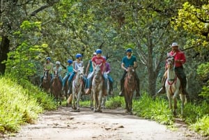 Costa Rica : balade à cheval vers la cascade d’Oropéndola