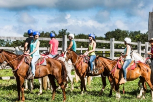 Horseback Riding Tour to the Oropéndola Waterfall