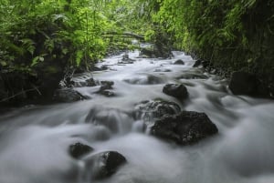 Pura Vida -joki ja pääsy kuumaan lähteeseen