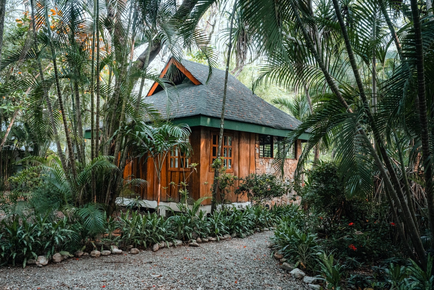Hotel Tropico Latino