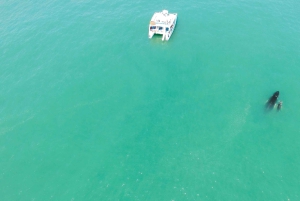 Wycieczka katamaranem Iguana i nurkowanie z rurką