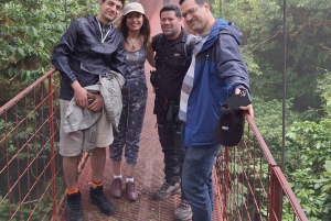 Tauche ein in die Magie des Nebelwaldes von Monteverde.