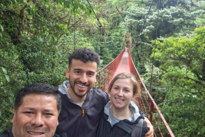 Tauche ein in die Magie des Nebelwaldes von Monteverde.