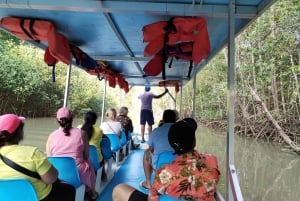 Isla Damas, Quepos: Båttur och vackra vyer över mangroveträsken