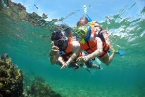 Isla Tortuga Abenteuertour ab Jacó Kleingruppe