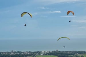 Jaco: tandem-paraglidingvlucht van 450 meter met uitzicht op het strand