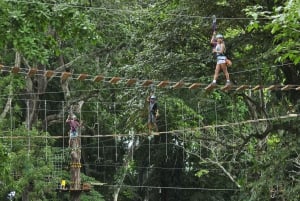 Jaco: 2-timers Adventure Canopy og High Ropes Course