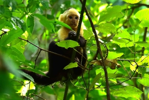 Jaco : 3 heures d'aventure en VTT avec chutes d'eau et vue sur le ciel