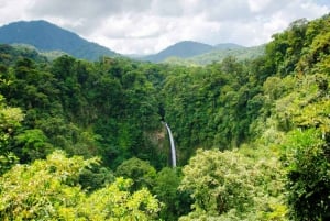 Jaco: Arenal Vulkan, Fortuna Wasserfall und heiße Quellen Tour