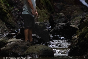 Jaco Beach: 10 Hidden Waterfalls Guided Experience