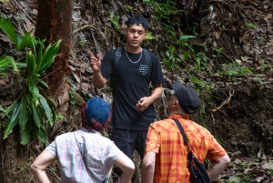 Jaco Beach: 10 Hidden Waterfalls Guided Experience