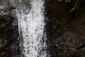 Jaco Beach: 10 Hidden Waterfalls Guided Experience