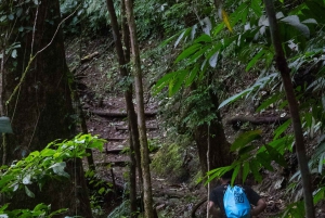 Jaco Beach: 10 Hidden Waterfalls Guided Experience