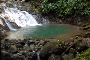 Jaco Beach: 10 Hidden Waterfalls Guided Experience