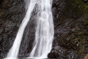 Jaco Beach: 10 Hidden Waterfalls Guided Experience