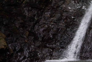 Jaco Beach: 10 Hidden Waterfalls Guided Experience